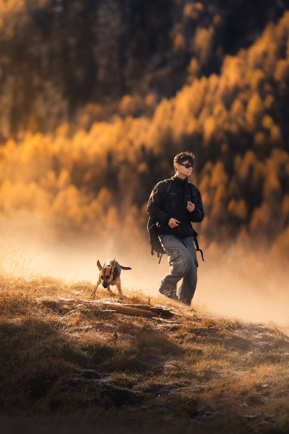 Uscita con il cane nella natura